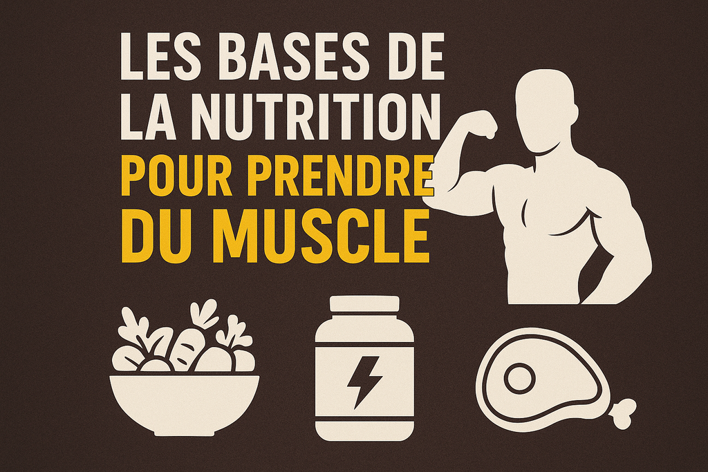 Les bases de la nutrition pour prendre du muscle